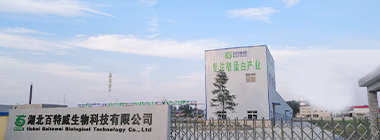 公司简介