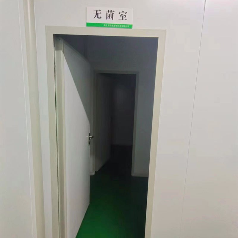 公司实力