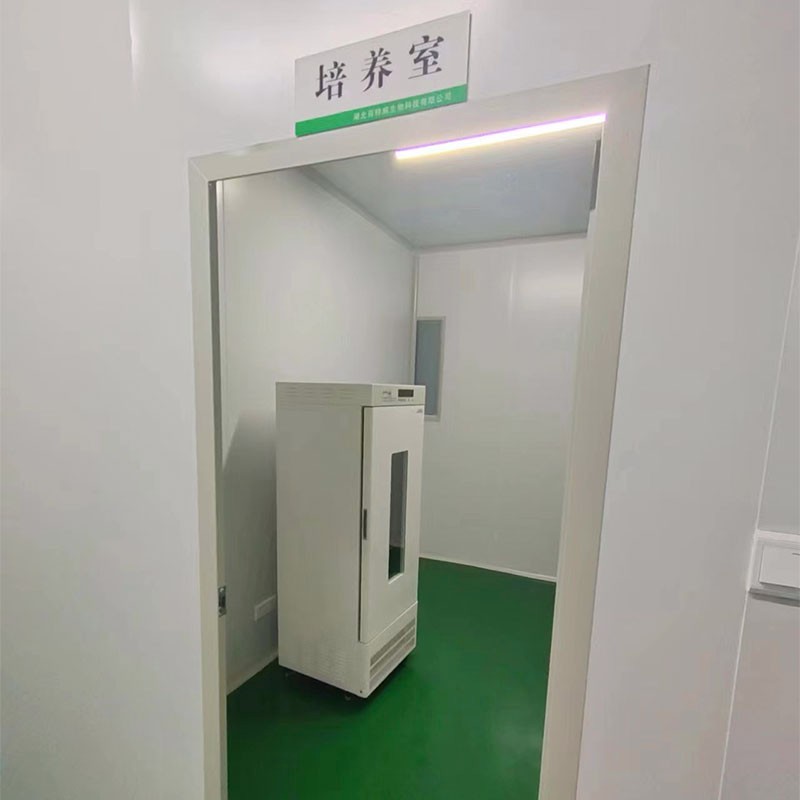 公司实力